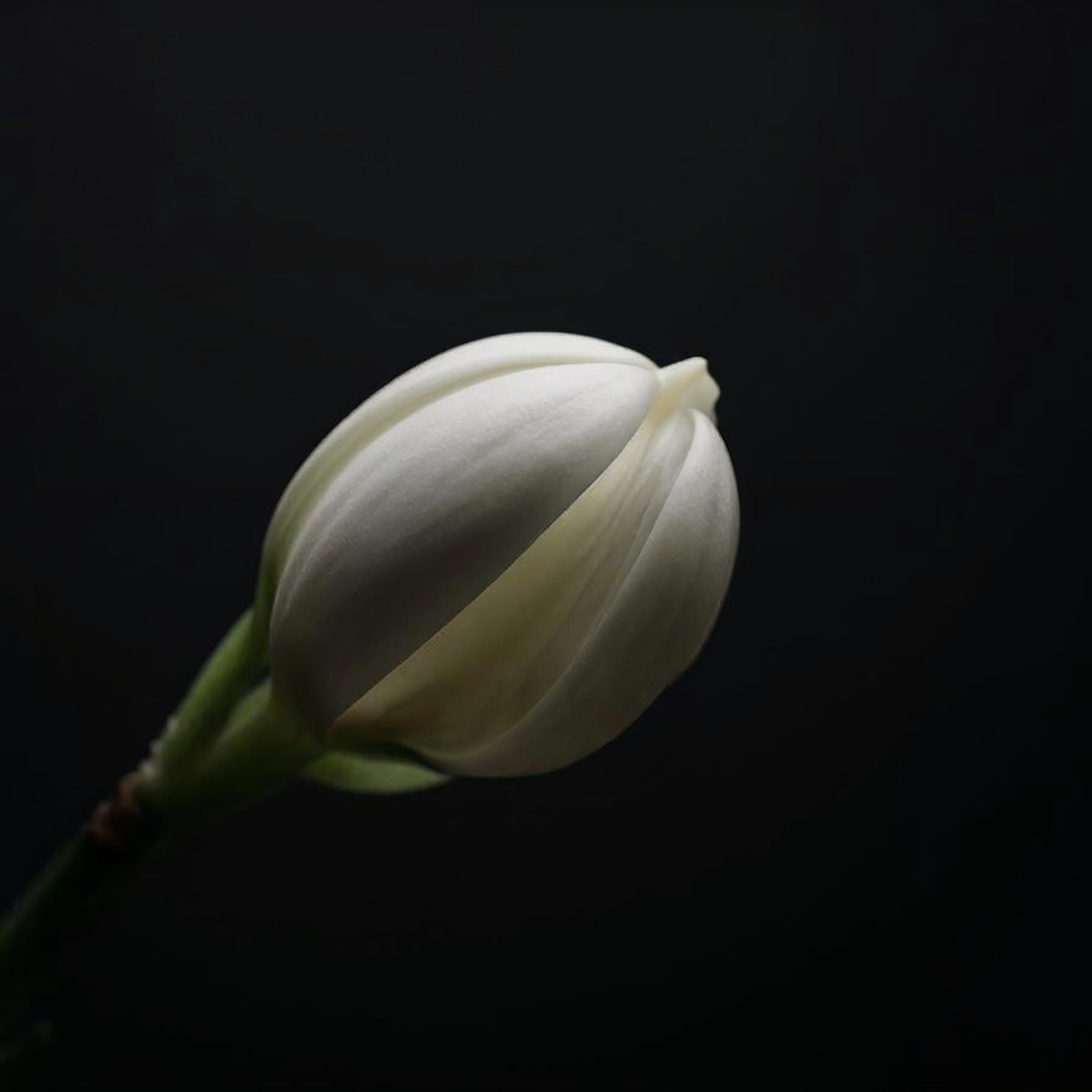 Empowerment Diaries Podcast