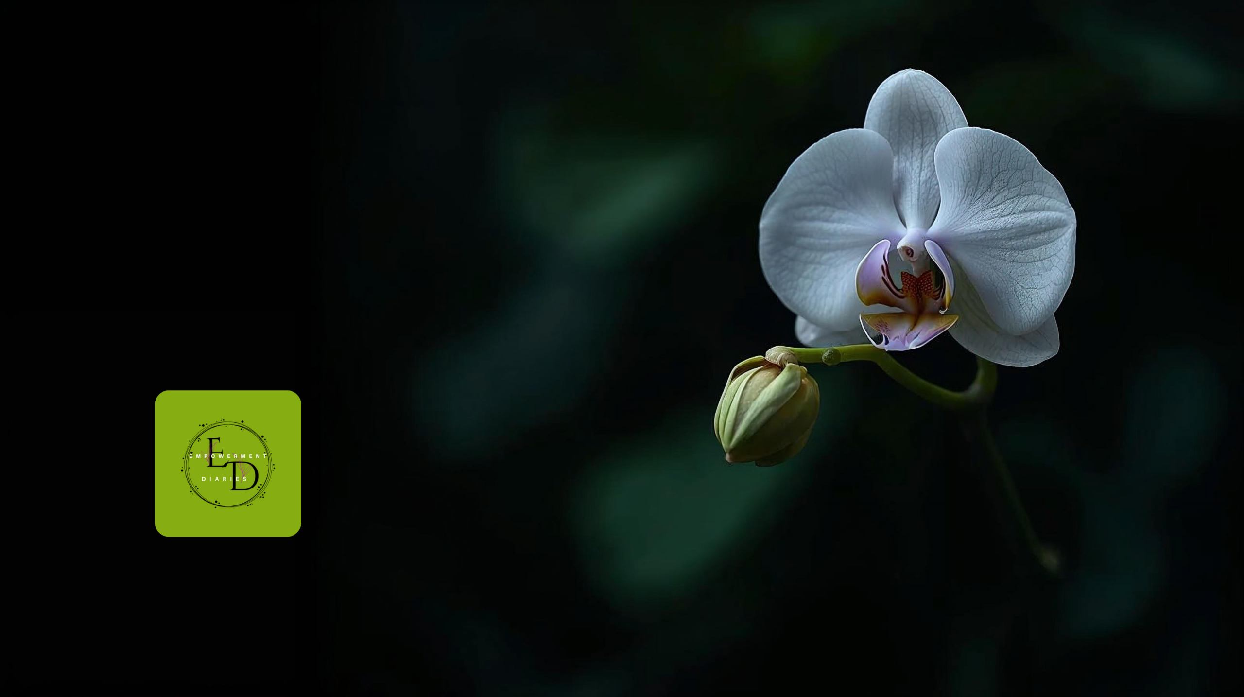 Private Transformational Consultancy