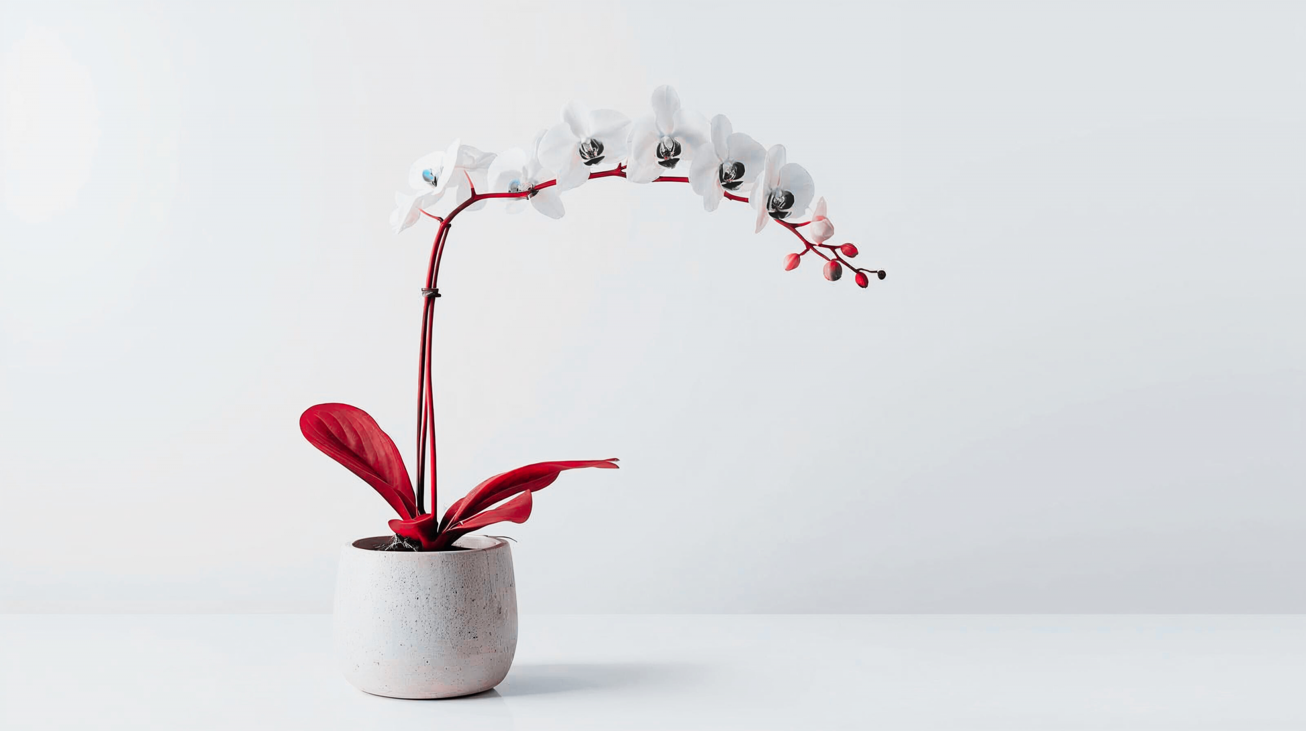 Integrated Ecosystem