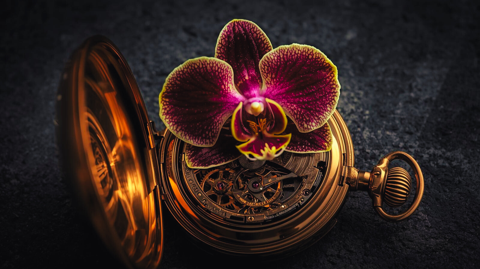 Sovereign Creator Network; Sovren